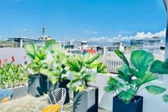 Nhà kiệt 3m5 hải châu giá đẹp 4 tấm