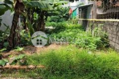 Chị gái nhờ bán đất 48 1m2 2 mặt ngõ thông ô tô