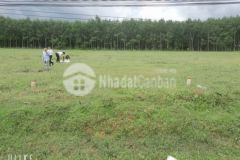 Lô đất kế bên quy hoạch cụm công nghiệp lộc thành