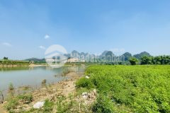 Siêu phẩm bám sông bôi dt 2403m2 chỉ vài bước chân là đến điểm camping chỉ 1,xtrm2