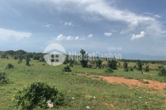 Lô đất cực kỳ tiềm năng gần ngay kdl bàu trắng.công chứng sang tên ngay. lh zalo xem sổ ạ