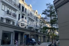 Shophouse hải phát, trâu quỳ, gia lâm. đường 11m. cạnh căn góc. giá 11.9ty.