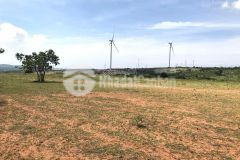 Chính chủ bán lô sông lũy, ngay cổng công viên safari, diện tích 8.400m2.lh xem sổ ạ0919626750