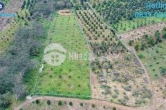 Đất view núi x phước lộc h đạ huoai lâm đồng