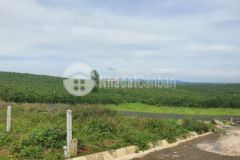 Cam kết sự thật 100 đất tp bảo lộc giá 3 2 trm