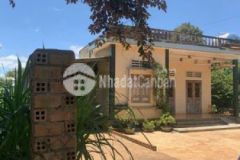 Đất vườn sẵn nhà cấp 4 vườn trái cây trên đất