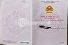 Chính chủ cần bán đất thôn ngọc hội xã vĩnh ngọc