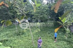 972m2 400 ont đât 2 mt lạc thịnh yên thuỷ hoà bì