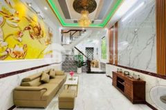 Bán nhà nguyễn hữu tiến tân phú hẻm oto 68m2