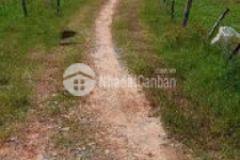 8 500m2 mặt tiền 50m