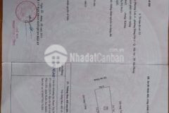 Bán đất tại đường bùi thị tự nhiên hải an hp