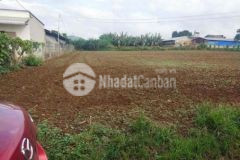 Bán đất liên hiệp đức trọng