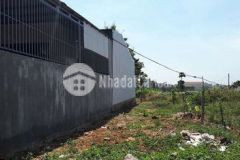 Đất nguyễn tri phương