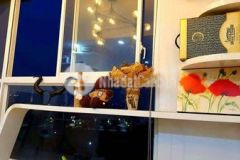 Cần bán căn hộ citihome quận 2