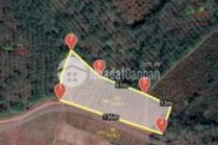 Đất krong buk 626m2 đất bazan sổ sẵn đường oto