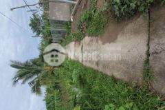 6x28 cách sa đéc 1 5km