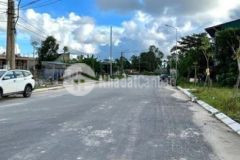 Kqh thanh lương hương xuân hương trà