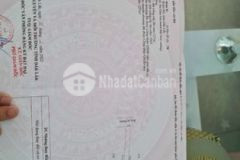 Đất nền bình thuận bán lỗ