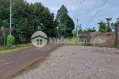 Đất hàng gòn 25x40m góc 2 mặt tiền quy hoạch đất ở