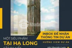 Căn hộ mặt biển bãi cháy hạ long