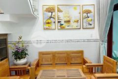 Nhà hẻm ô tô đầu đường cầu dứa phú nông