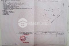 Đất nông nghiệp 4 3 công đang trồng dừa với mít