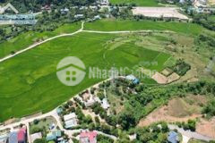 Bán 1371m2 view cánh đồng tại phường kỳ sơn