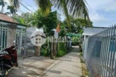 Nhà cấp 4 250m2 lộ bê tông nhánh nguyễn viết xuân