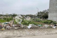 Đất đấu giá làng cam cổ bi dt 90m2 hướng đb