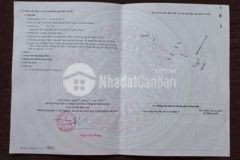 Nhánh dh01 kp5 minh thành ngộp nặng 6m chỉ 700tr