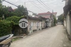 Cần bán gấp đất tri chỉ tri trung phú xuyên hà nội