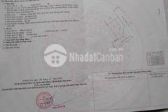 Nhà tđc an bình tân lô góc siêu rẽ mùa dịch