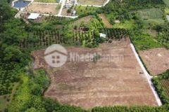 Bán gấp 10 lô xuân tây cẩm mỹ ngay ubnd xuân tây