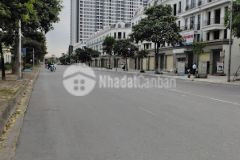 Shophouse hải phát, trung tâm trâu quỳ, gia lâm 90 m², áp góc.