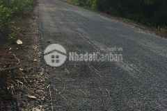 1 hecta mặt tiền huyện lộ 42,tân hoà tây,tân phước,tiền giang