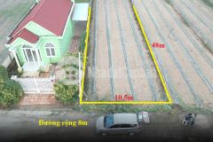 Đất biển hồ tràm siêu đẹp siêu rẻ cách biển chỉ 1km. dt 500m2, tc 100m2 lh 0939219993