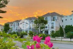 Biệt thự vườn đơn lập view công viên 240m2