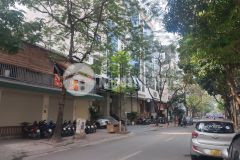 Cần bán gấp mặt phố dịch vọng hậu cầu giấy 42m2 5 tầng vỉa hè đá bóng kinh doanh sầm uất