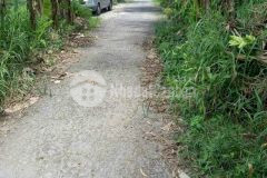 Bán nền cây lâu năm lộ ô tô tại ấp 4, xã vĩnh trung, vị thủy, hậu giang. diện tích 11 x 26 286m