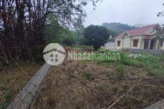 Cần bán gấp đất gần khu công nghiệp tại vân đồn quảng ninh