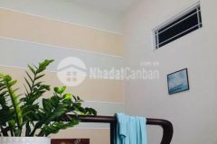 Ms 251 bán nhà mặt tiền đường trần đồng, vũng tàu.