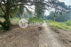 Bán đất 40.000m² ấp vĩnh quới, xã vĩnh tường, huyện vị thủy, tỉnh hậu giang