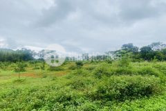 Bán gấp siêu phẩm thung mường có dt 8000m2 có 400m2 thổ cư nằm giữa 3 dự án