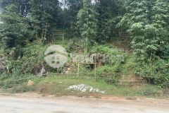 Cc cần bán gấp mảnh đất 820m2 mặt đường tả phìn sapa, giá siêu rẻ