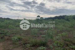 Bà cô kẹt tiền cần ra gấp lô đất vị trí đẹp