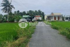 Đất thổ cư đường nhựa tiền giang