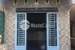 Nhà bạch lâm giá hạt dẻ