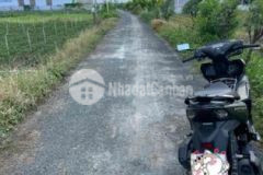 Đất nền duong nhựa gò táo tân đông cần bán