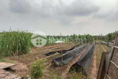 Nhà vỡ nợ cần bán giá 1 6trm