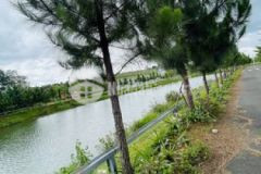 Chính chủ bán đất park hill lộc tân giá 600tr